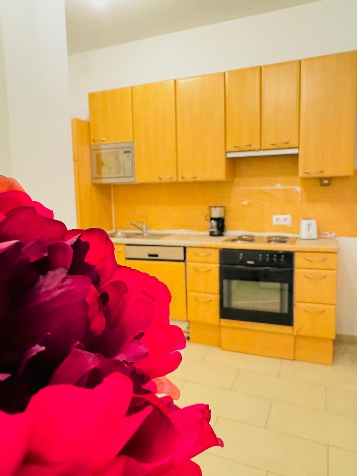 Chic For 5p, 12-min Walk To Augarten Appartement